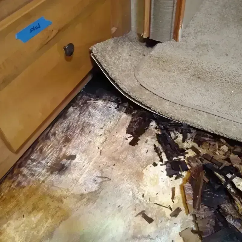 Wood Floor Water Damage in Saint Jo, TX